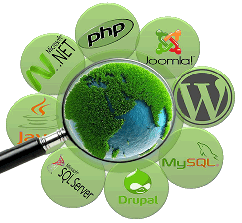 Web Development